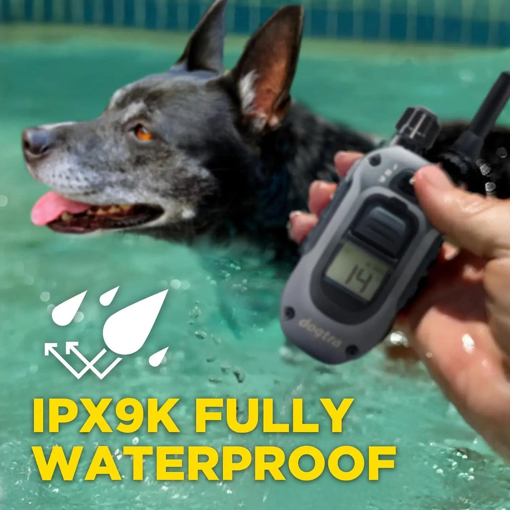 2 Dogs Training Collar Remote 1/2 Mile Waterproof LED Rechargeable Control