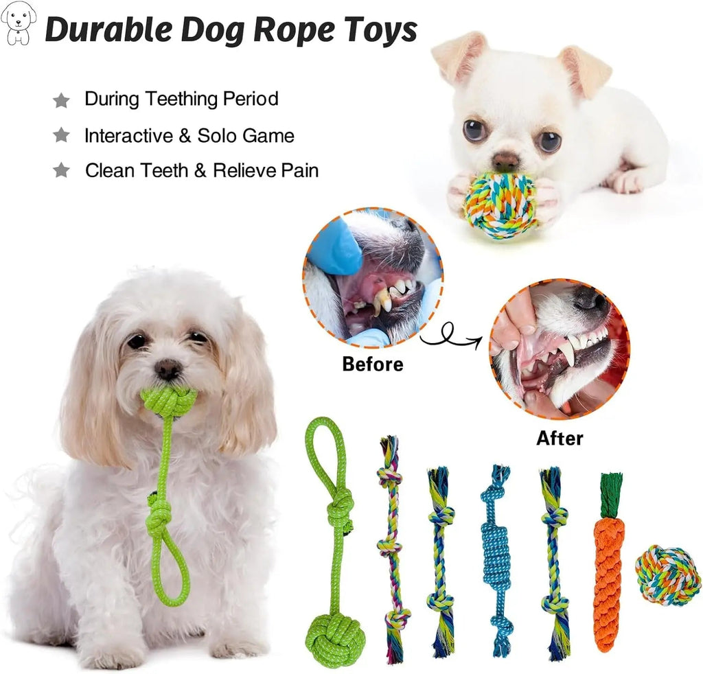 20-Piece Puppy Teething Chew Toy Set with Basket for Small & Medium Dogs