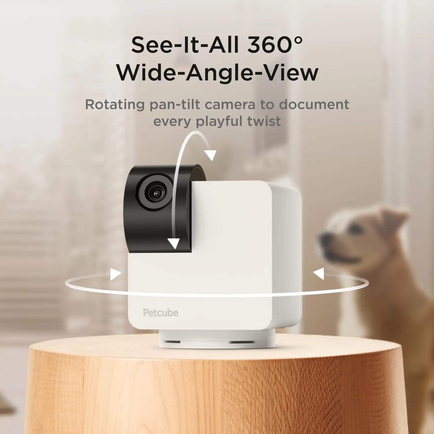 360° Pet Camera with App,1080P HD Video, Two-Way Audio, Night Vision & AI Alerts