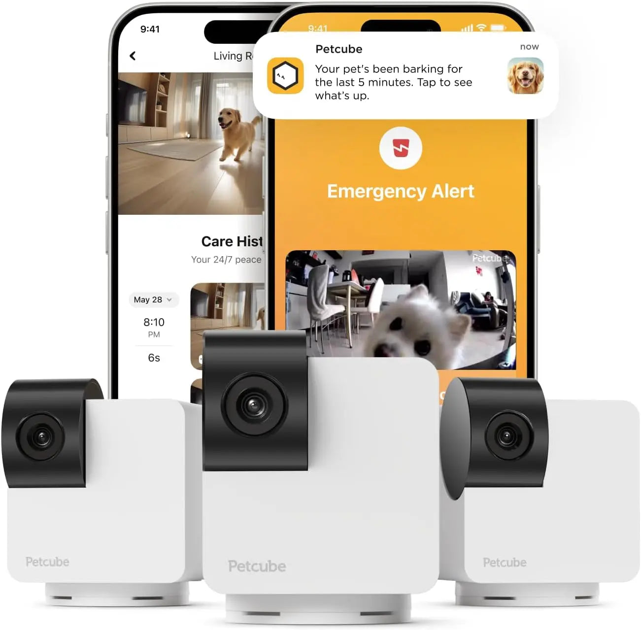 360° Pet Camera with App,1080P HD Video, Two-Way Audio, Night Vision & AI Alerts