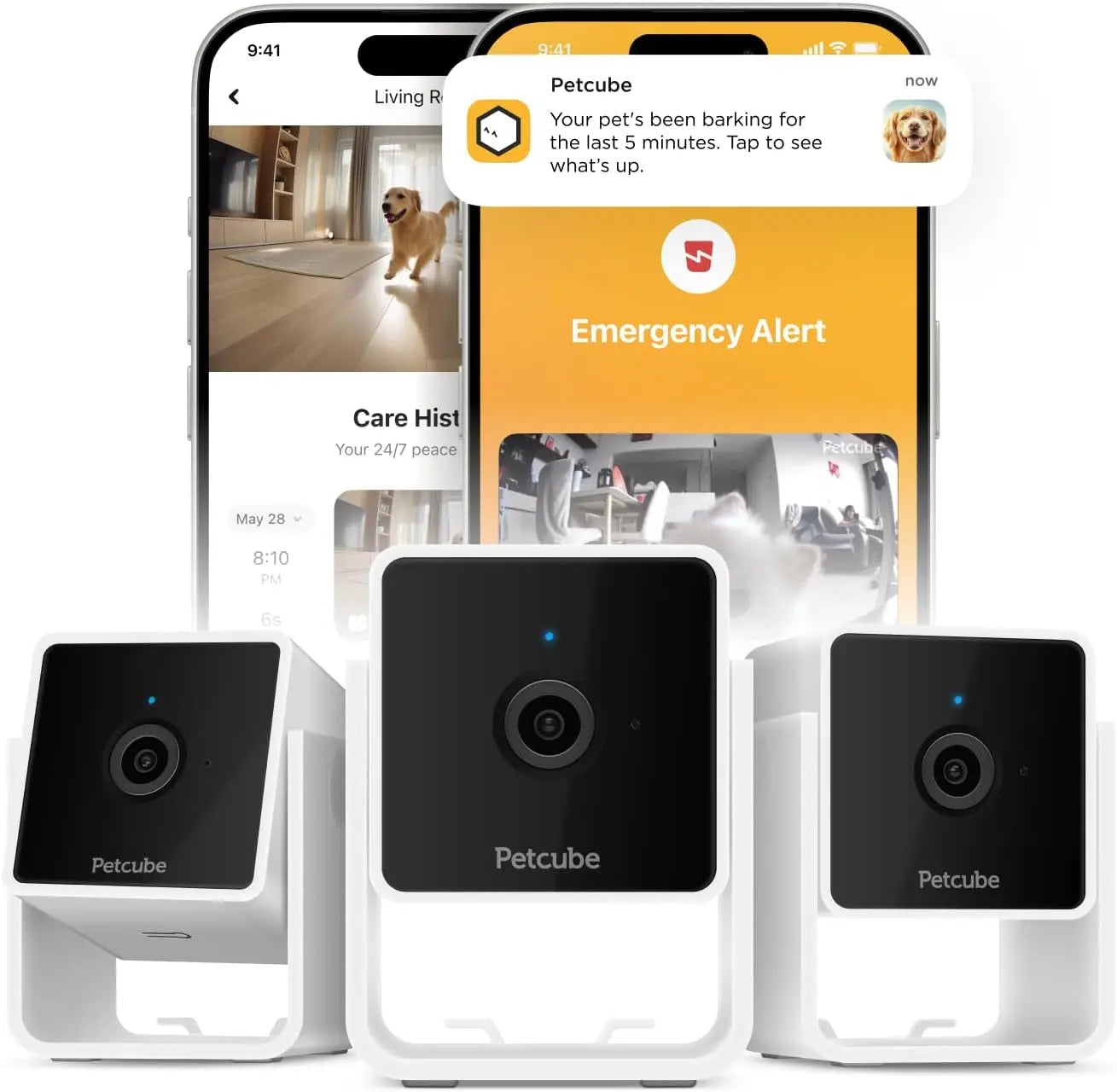 360° Pet Camera with App,1080P HD Video, Two-Way Audio, Night Vision & AI Alerts