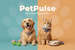 Banner PetPulse